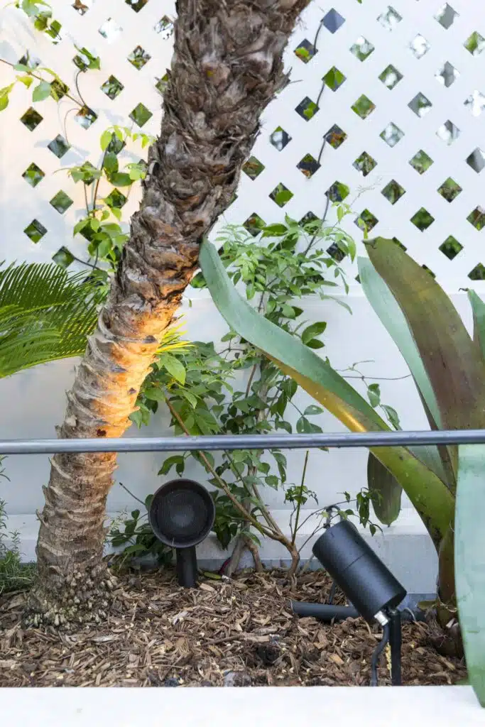 114 Paddington St Paddington (18)