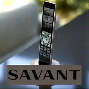 Savant